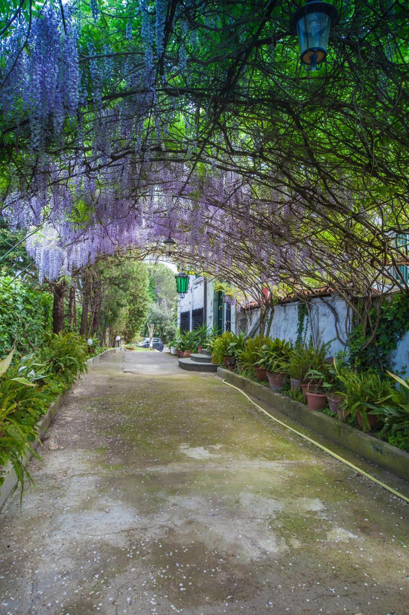 B&B Casina De Goyzueta ตอร์เรเดลเกรโค ภายนอก รูปภาพ
