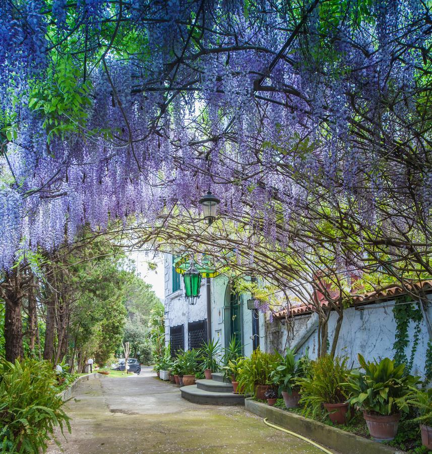B&B Casina De Goyzueta ตอร์เรเดลเกรโค ภายนอก รูปภาพ