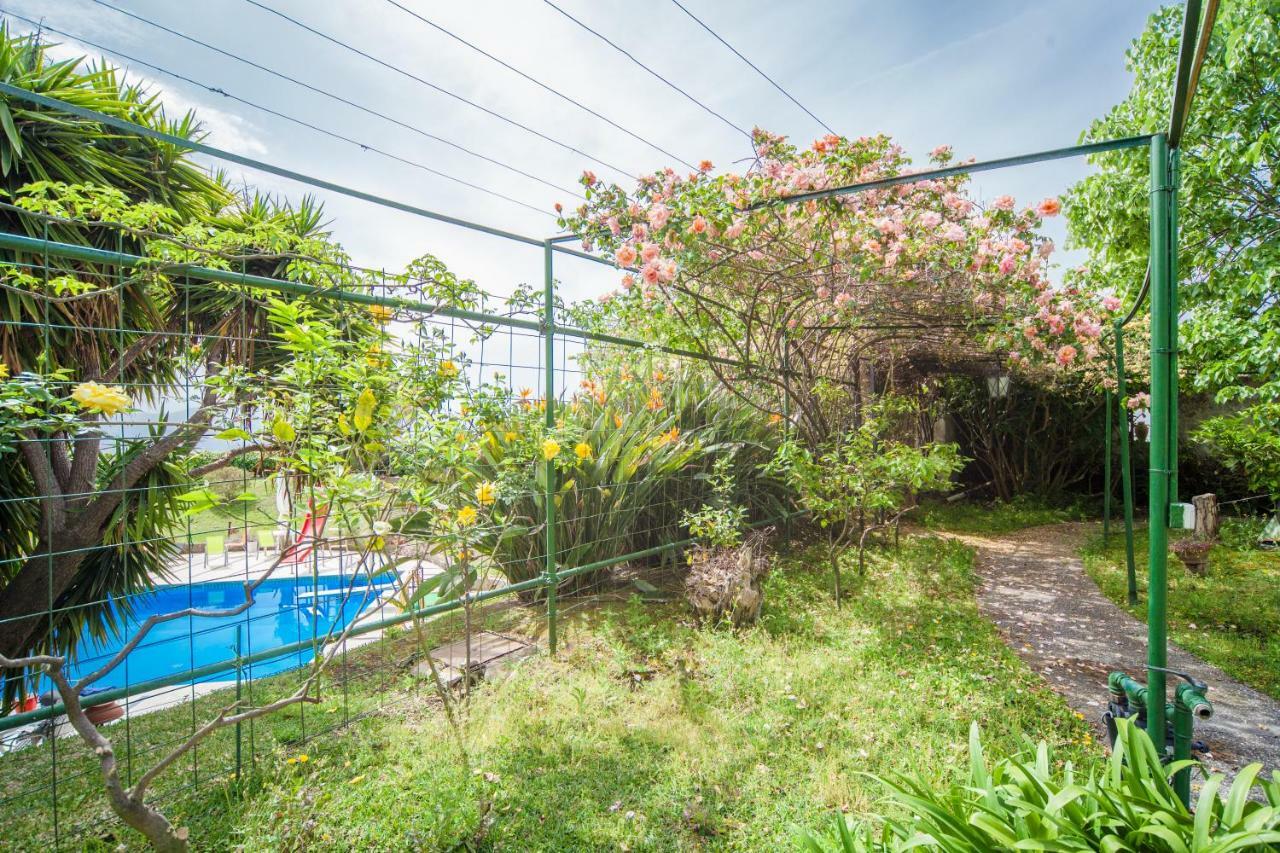 B&B Casina De Goyzueta ตอร์เรเดลเกรโค ภายนอก รูปภาพ